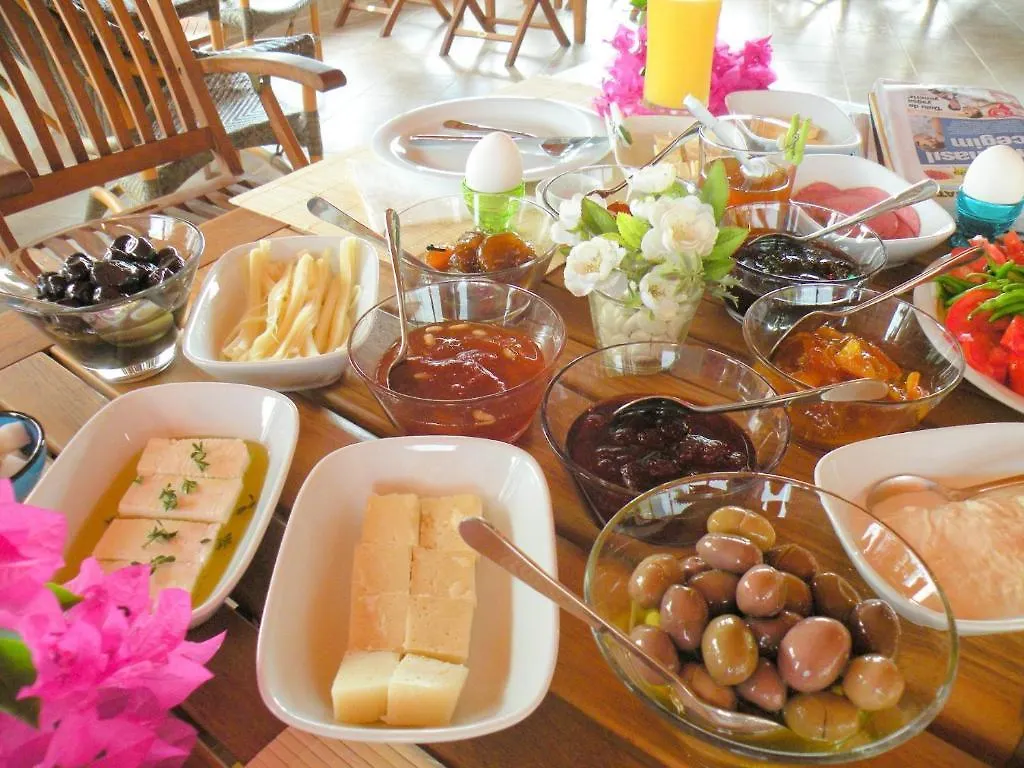Villa Mercan Datca